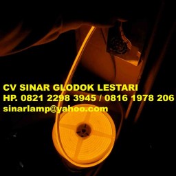 Lampu LED Neon Flex DC 12 volt 5m